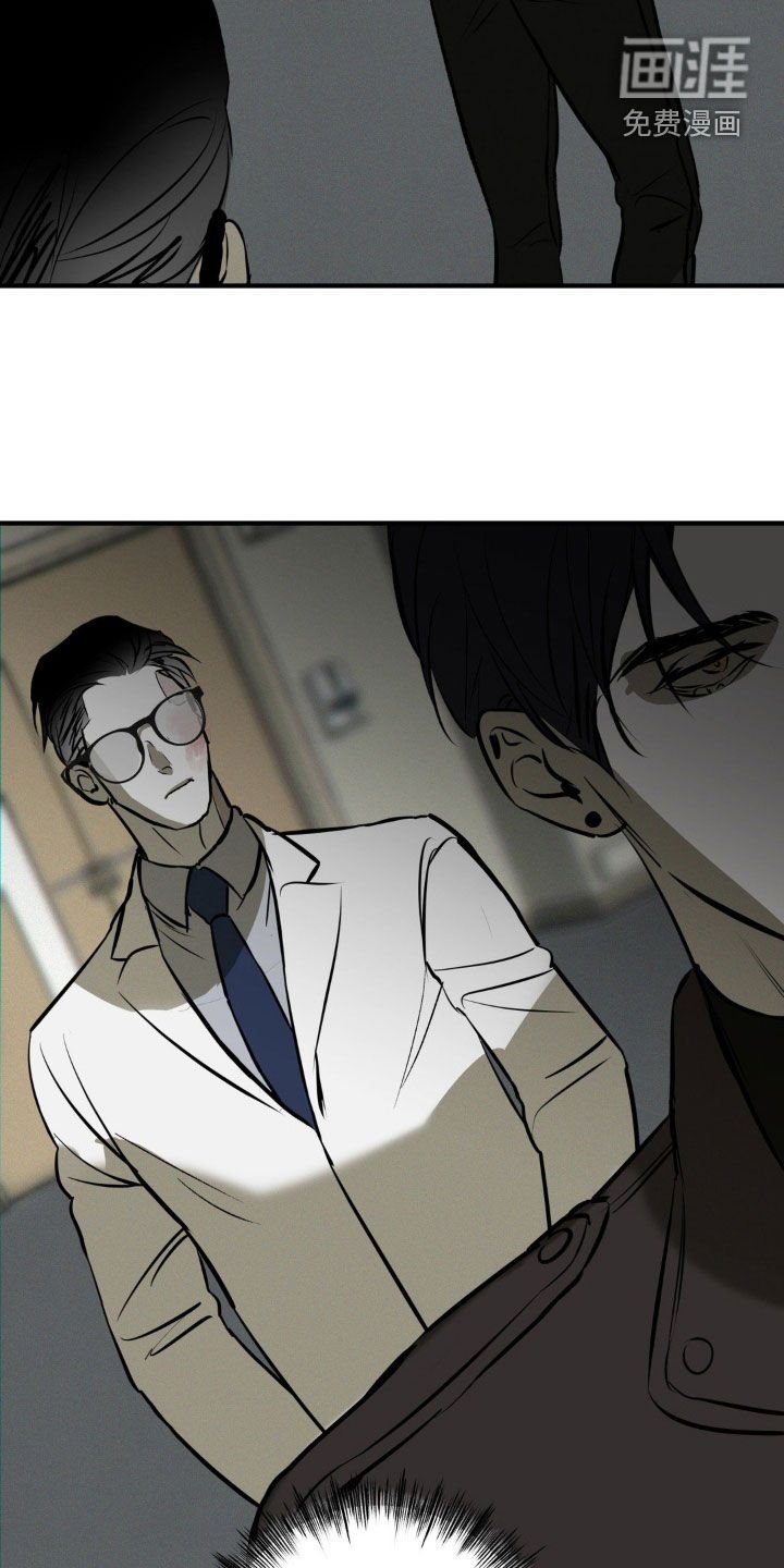 第44章：袭击计划