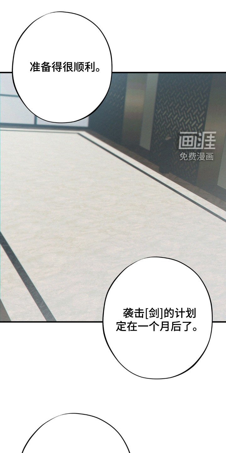 第44章：袭击计划