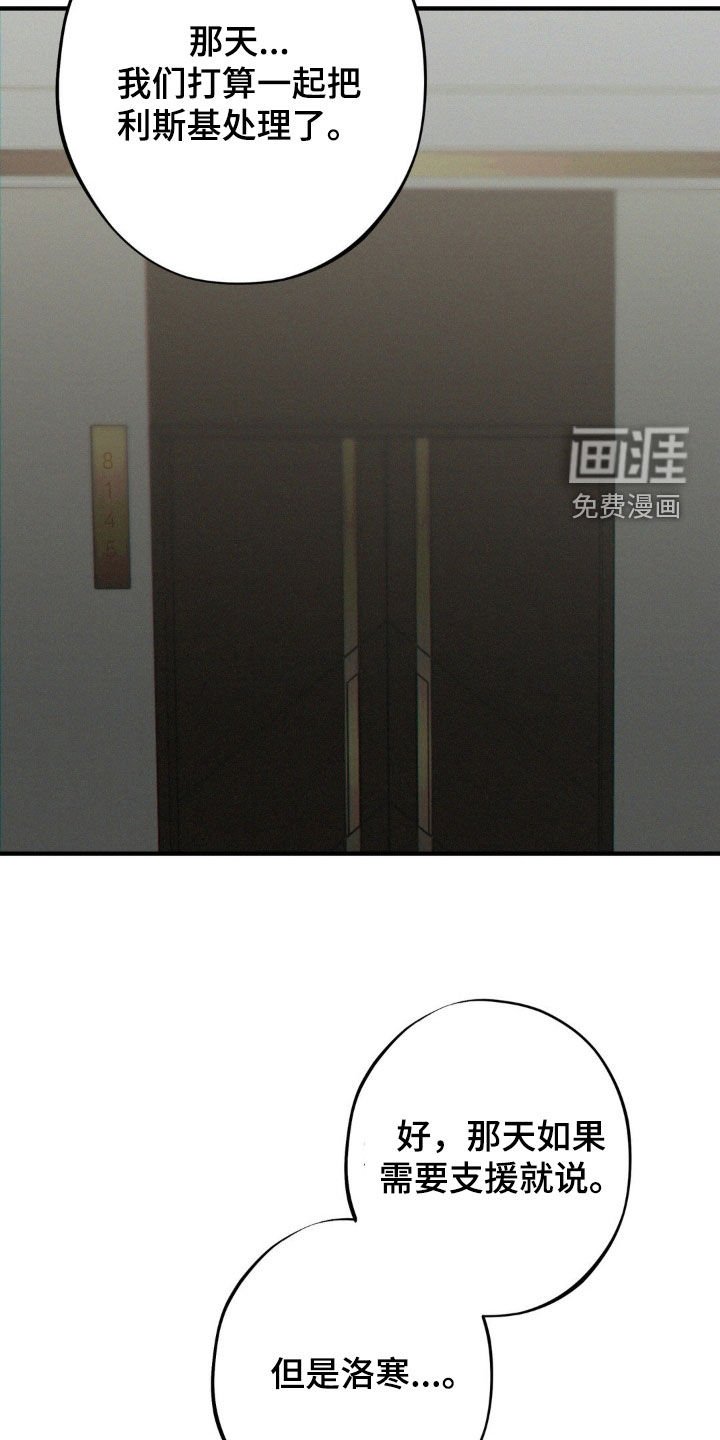 第44章：袭击计划