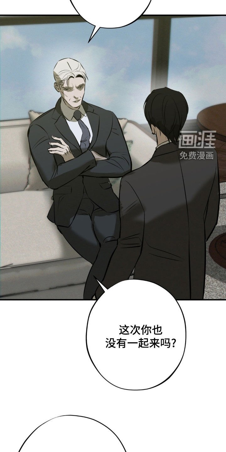 第44章：袭击计划