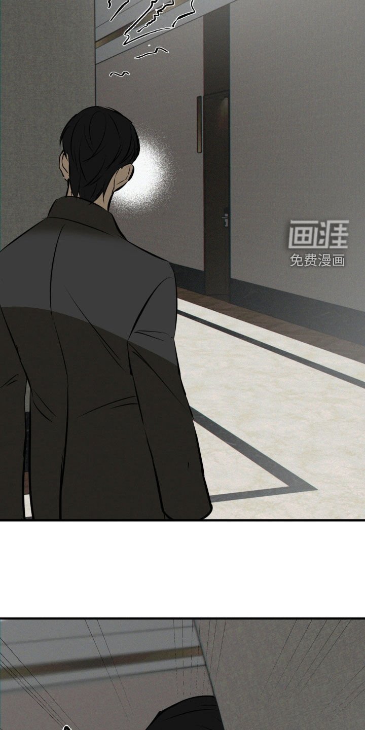 第44章：袭击计划