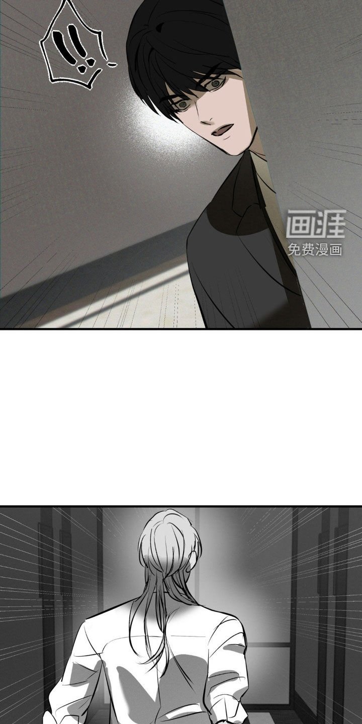 第44章：袭击计划