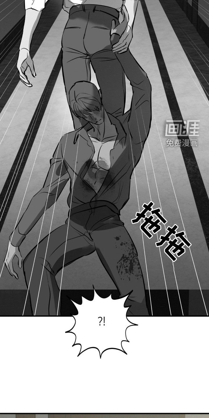 第44章：袭击计划