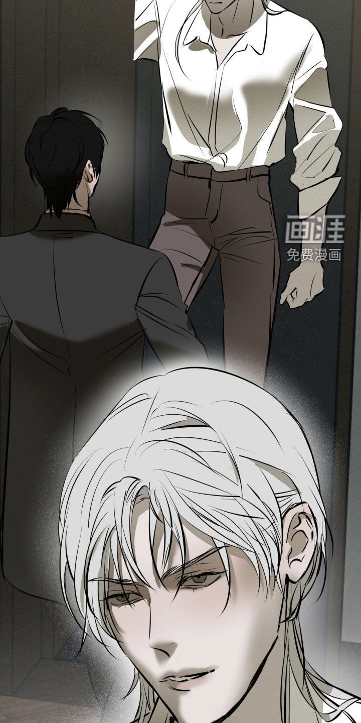 第44章：袭击计划