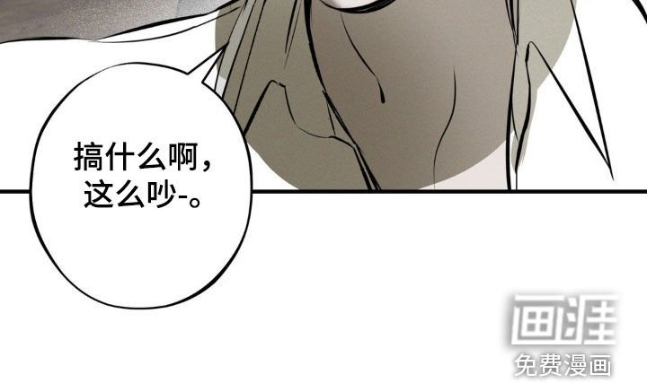 第44章：袭击计划