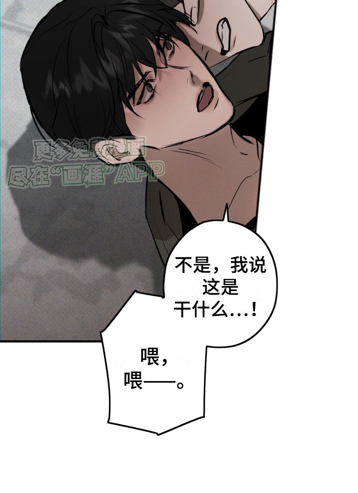 第5章：疯子