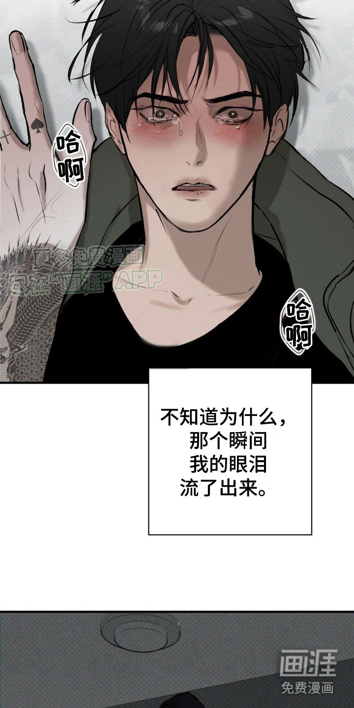 第5章：疯子