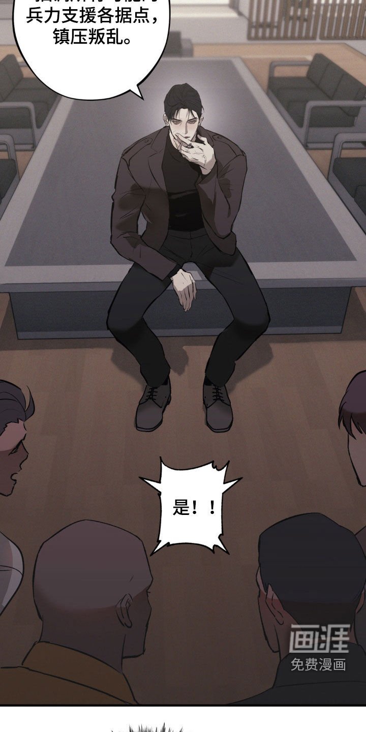 第55章：【第二季】作战计划
