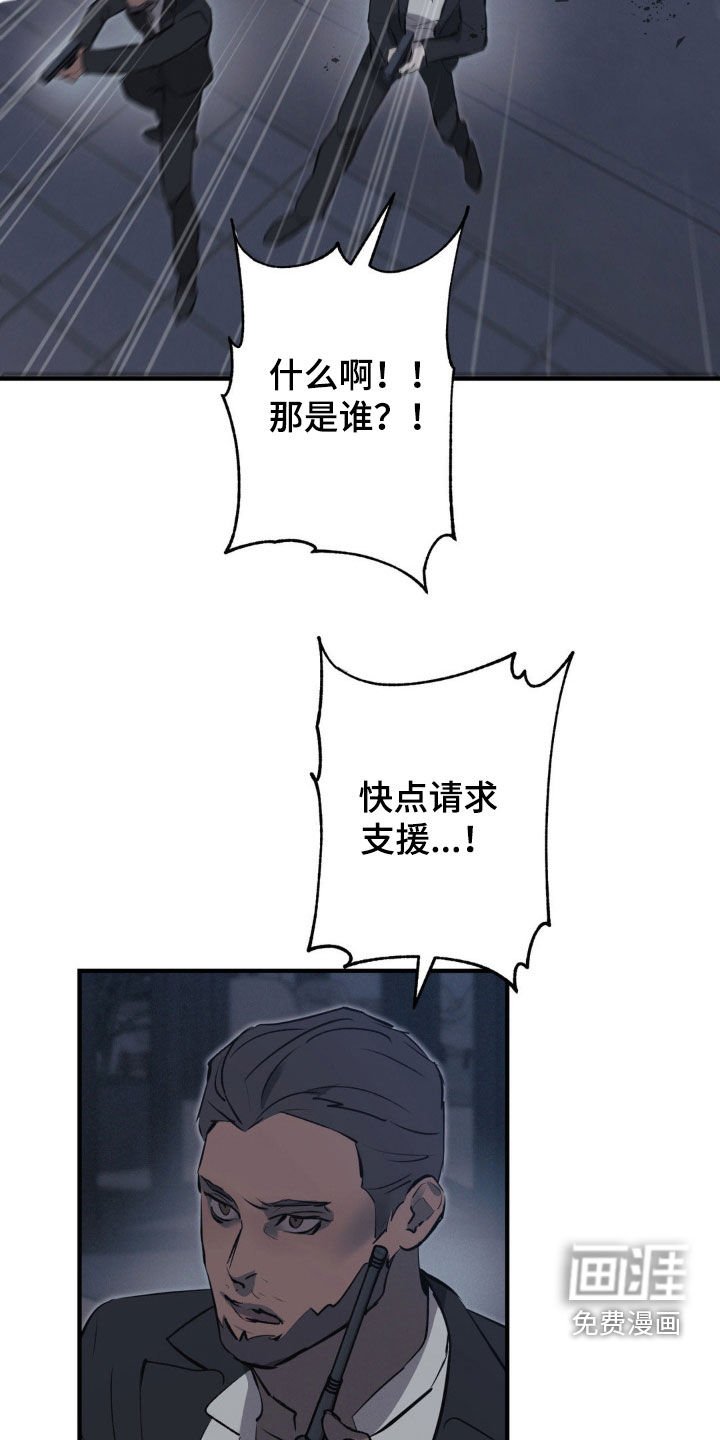 第55章：【第二季】作战计划