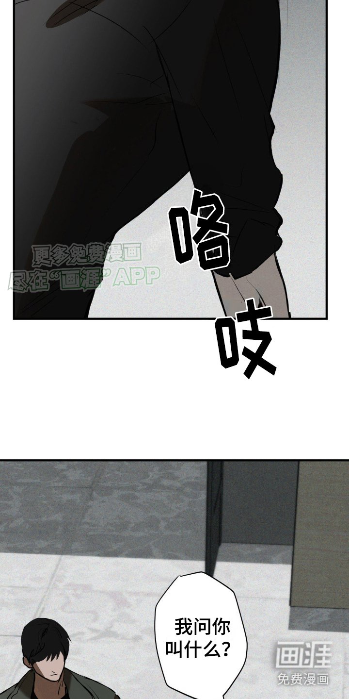 第6章：确认货物