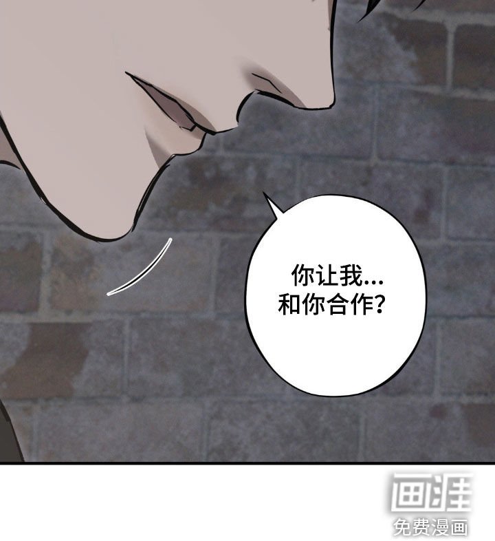 第64章：【第二季】合作
