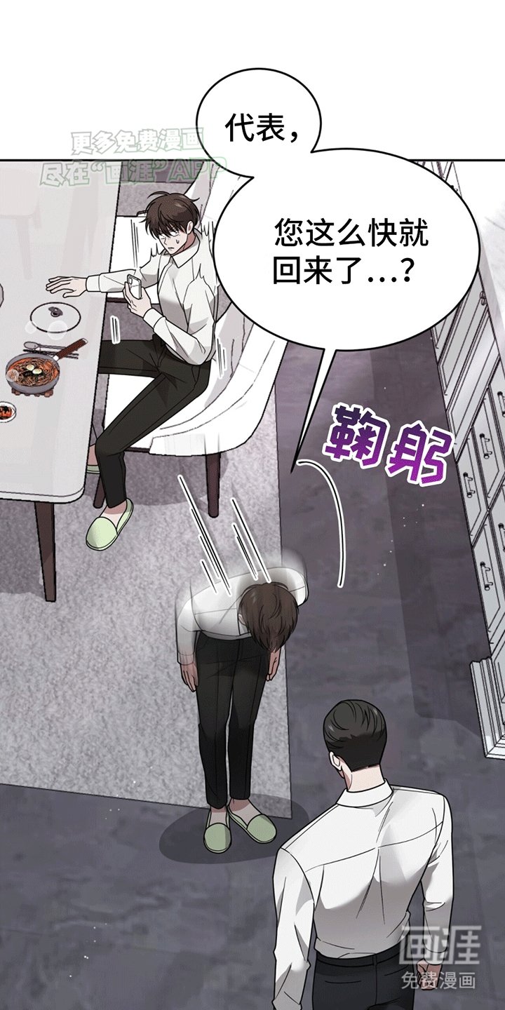 第13章：代表回家
