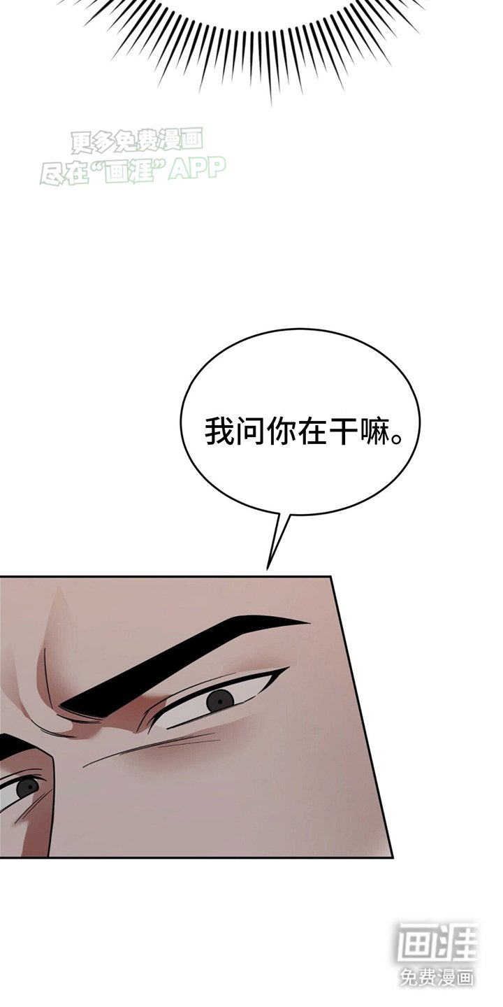 第13章：代表回家