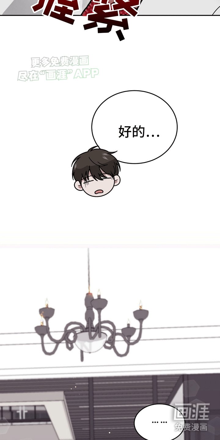 第13章：代表回家