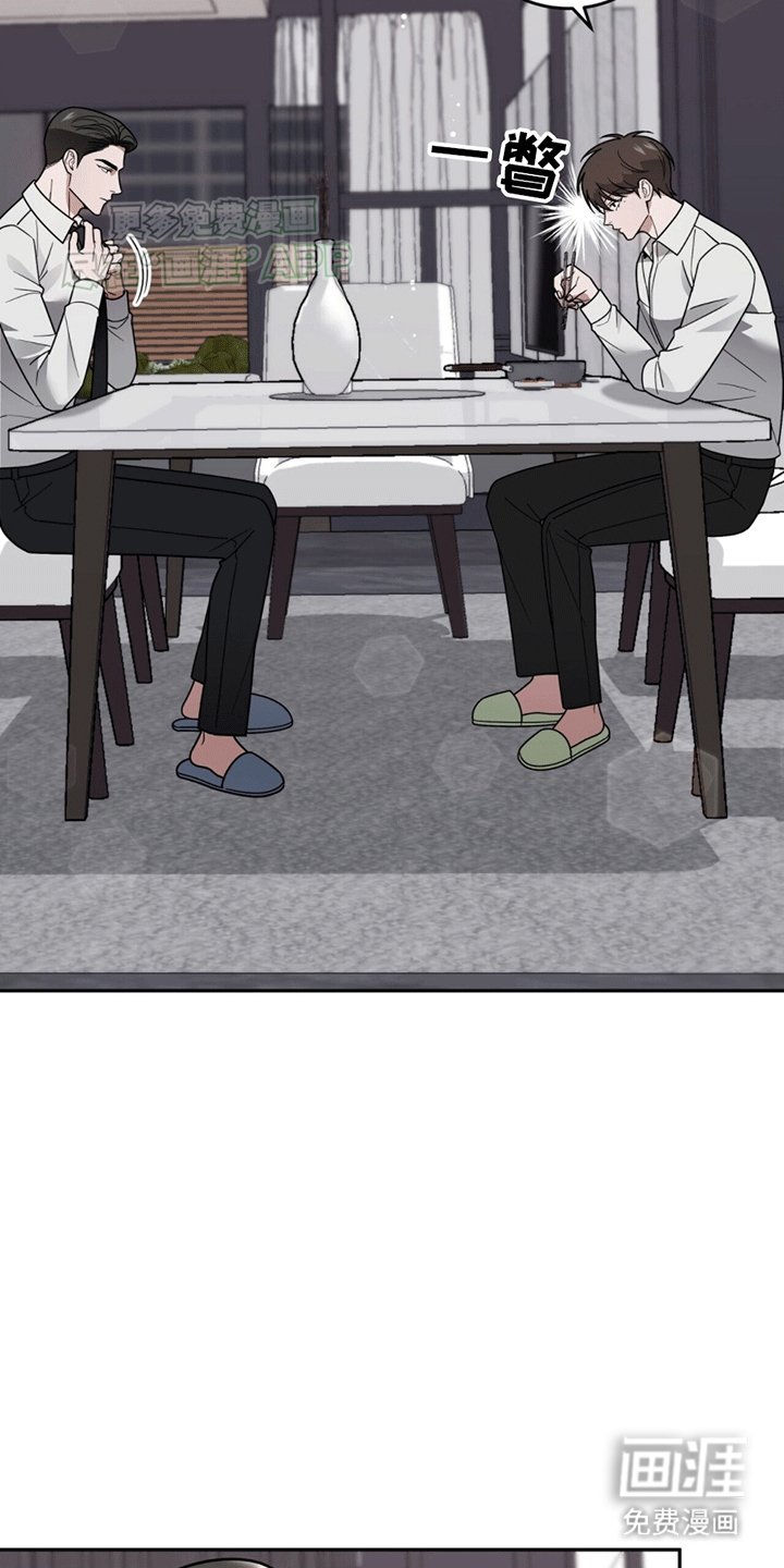 第13章：代表回家