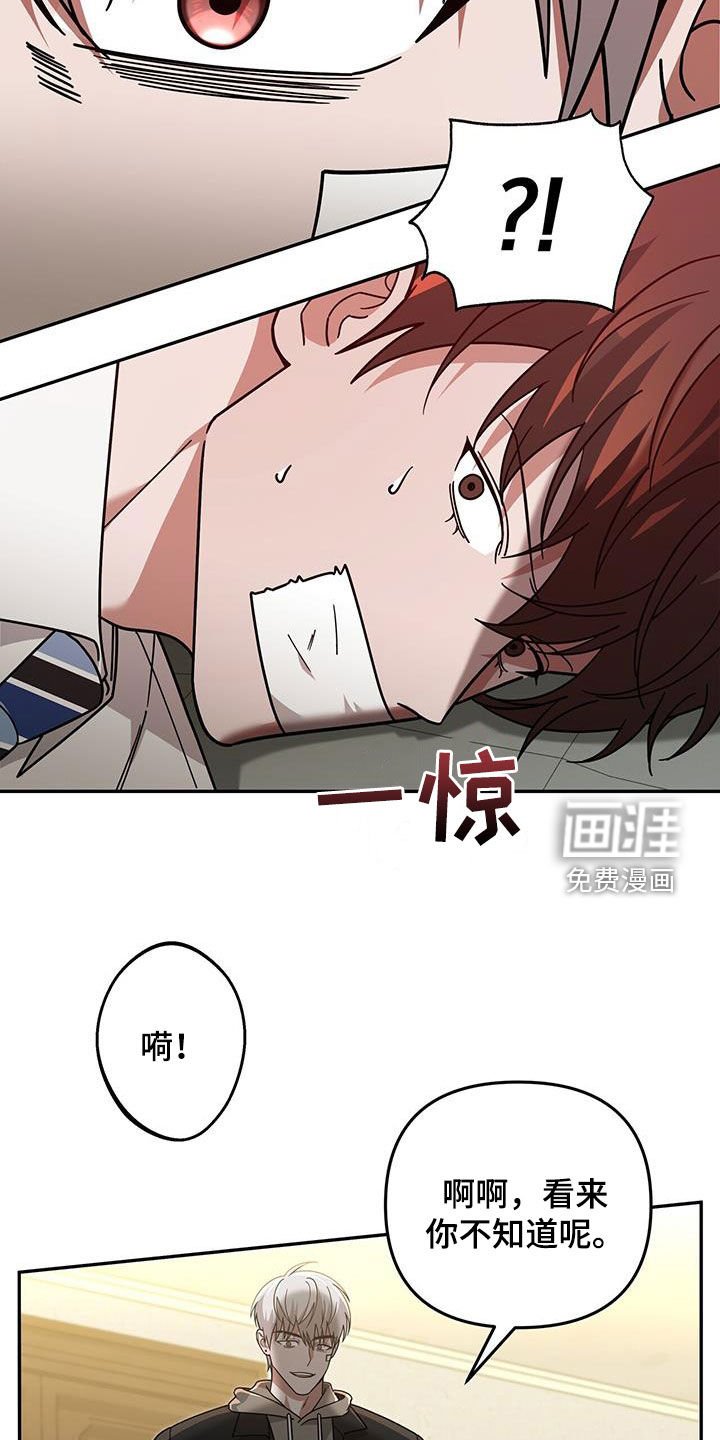 第25章：赌赢了