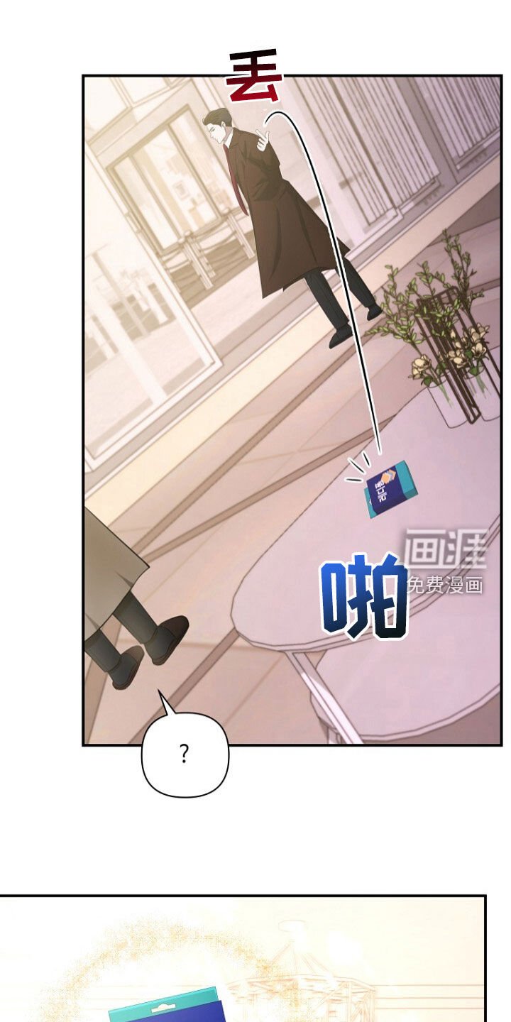 第54章：再次相遇