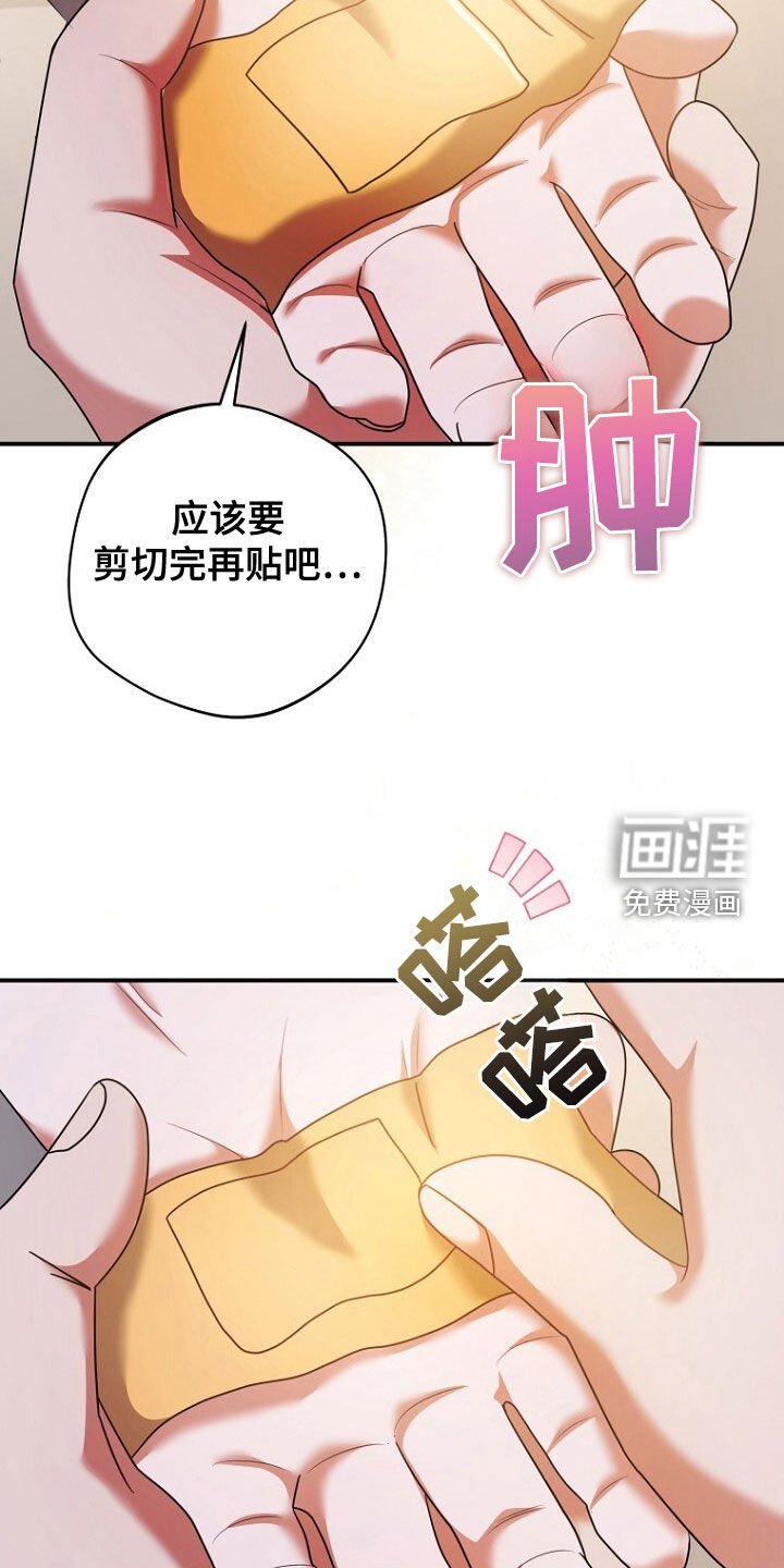 第54章：再次相遇