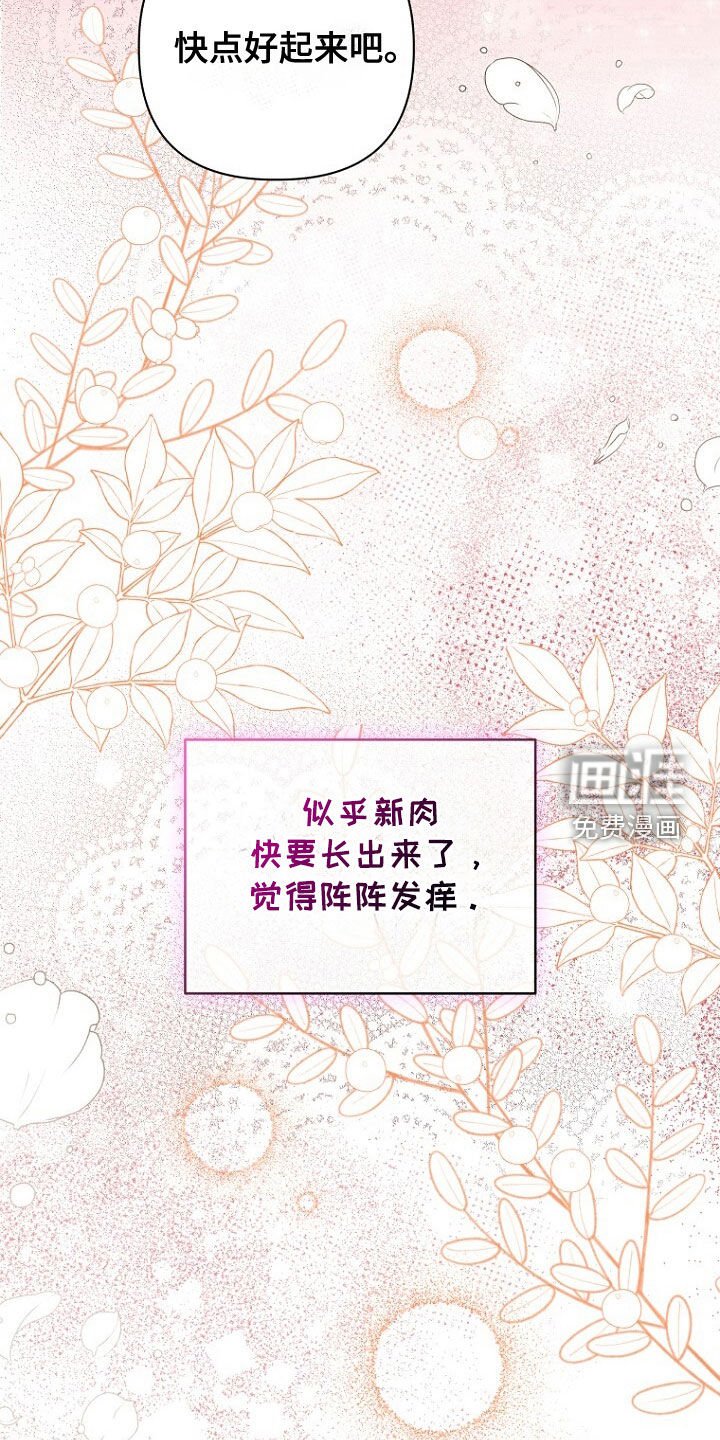 第54章：再次相遇