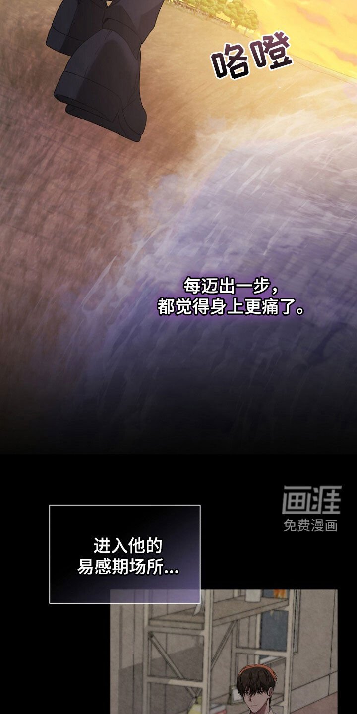 第62章：狐狸精