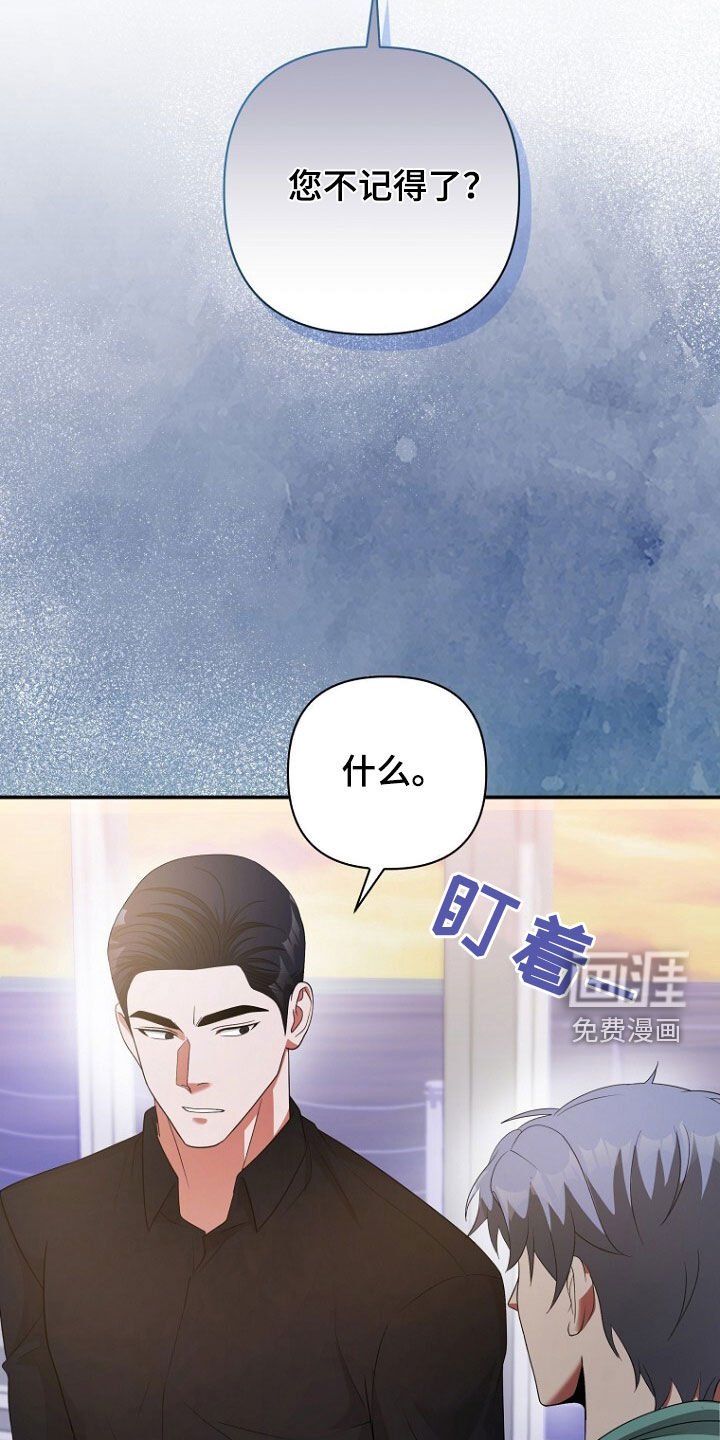 第62章：狐狸精