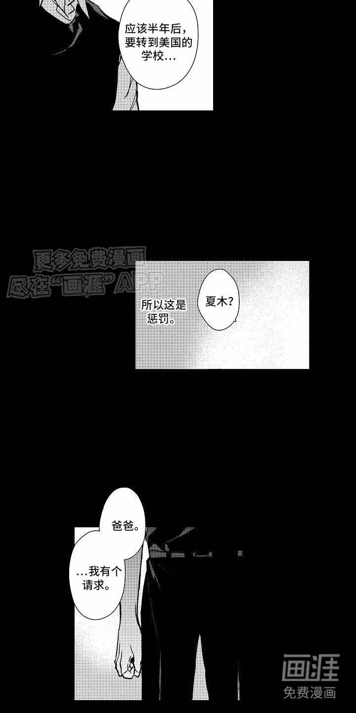 第15章：谎言