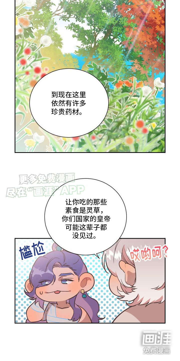 第10章：又受伤了