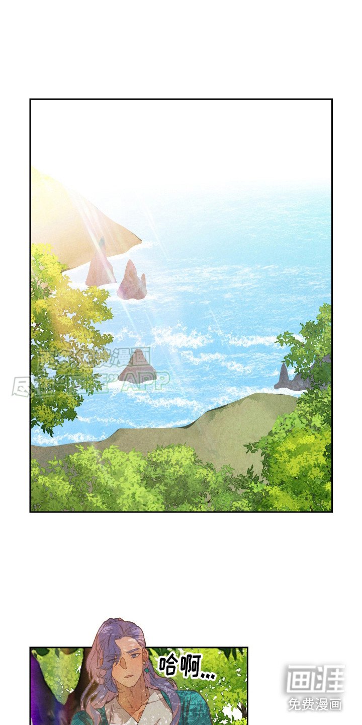第13章：药丸