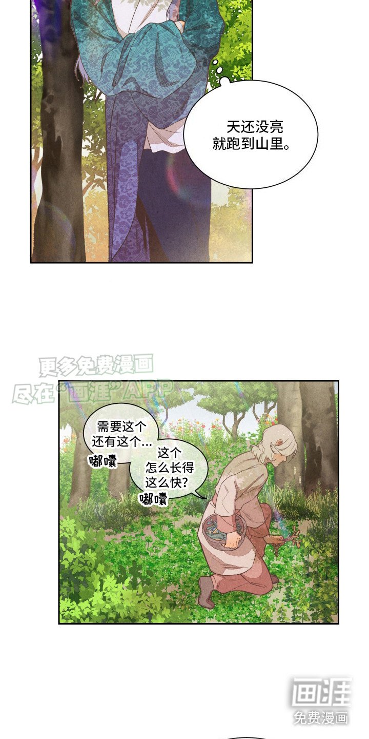 第13章：药丸