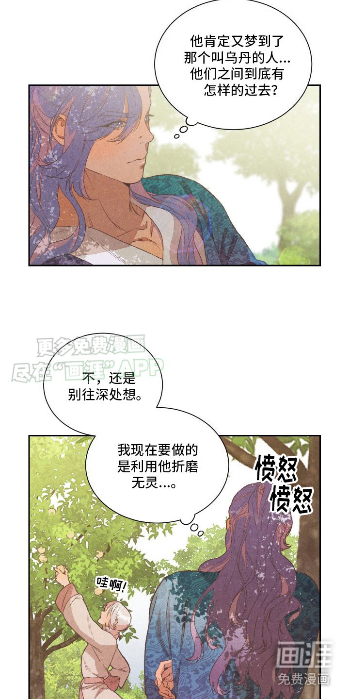 第13章：药丸