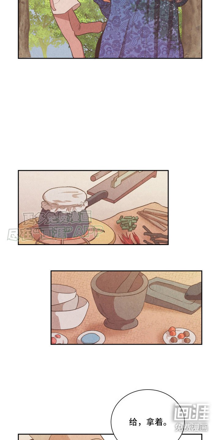 第13章：药丸