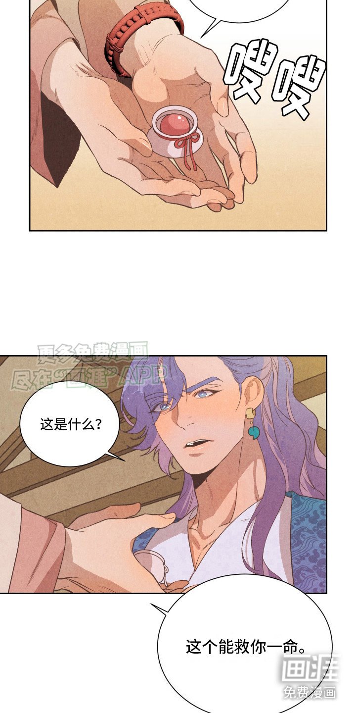 第13章：药丸