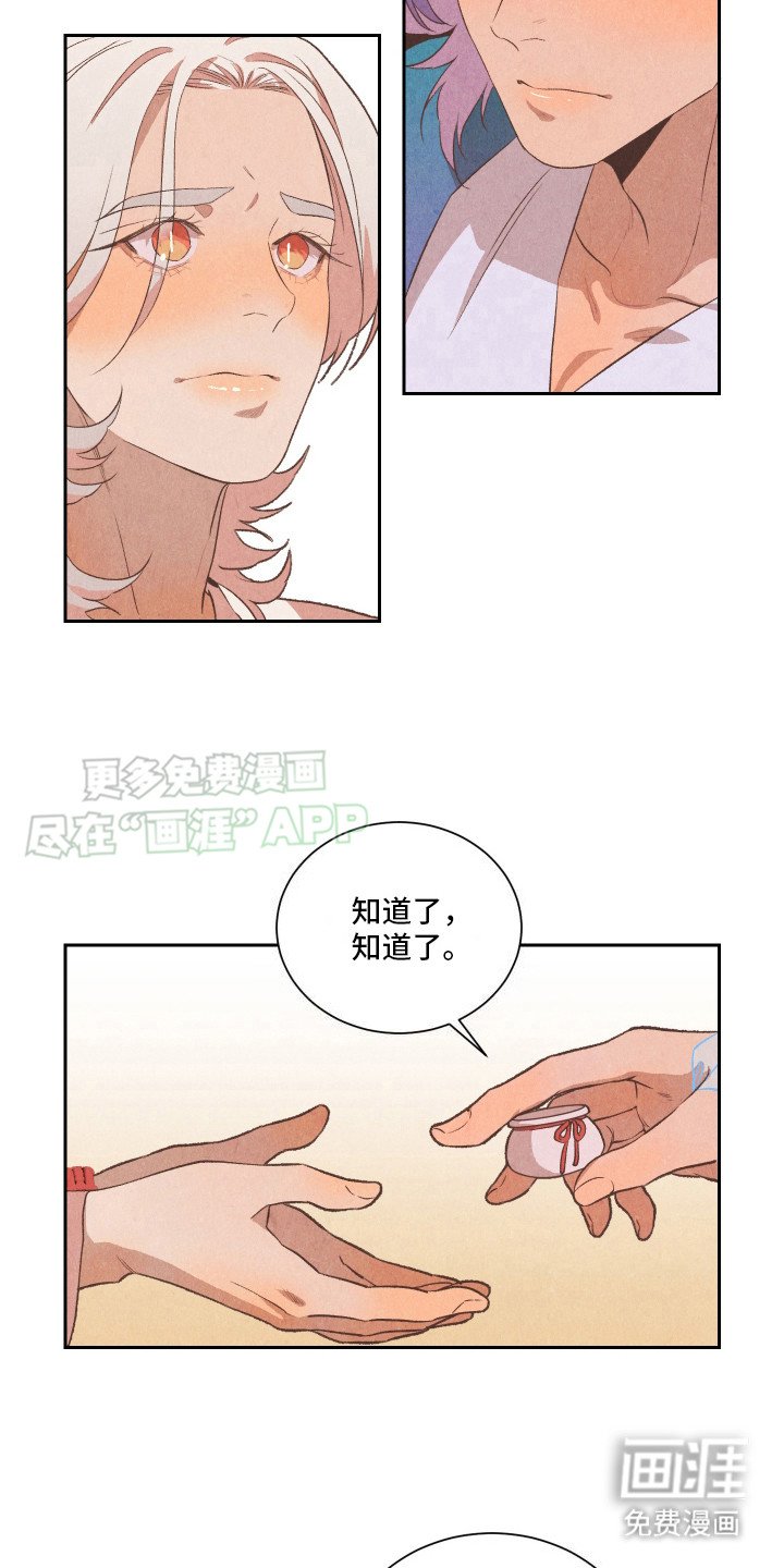 第13章：药丸