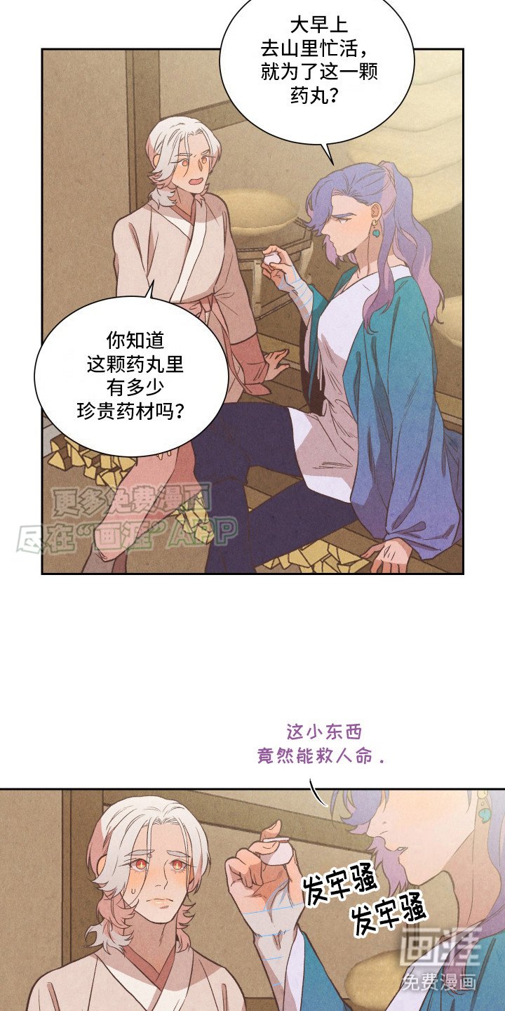 第13章：药丸