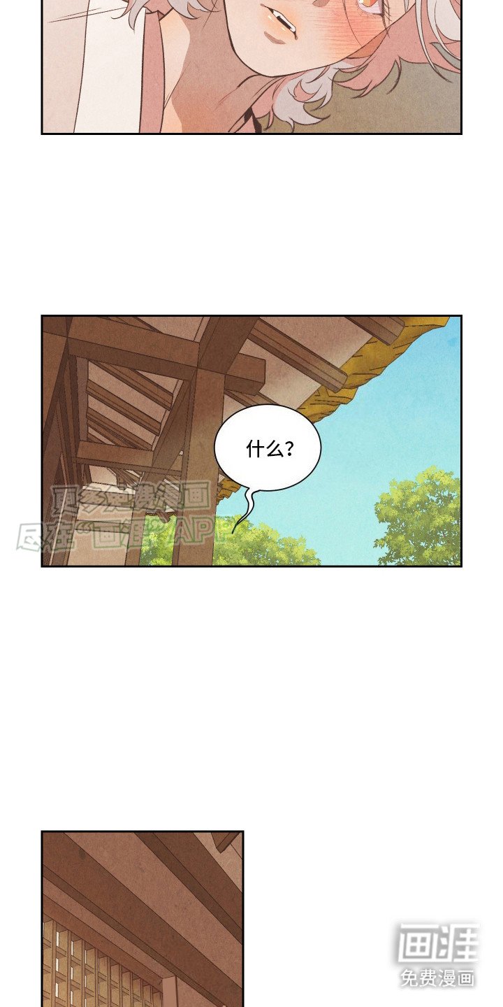 第13章：药丸