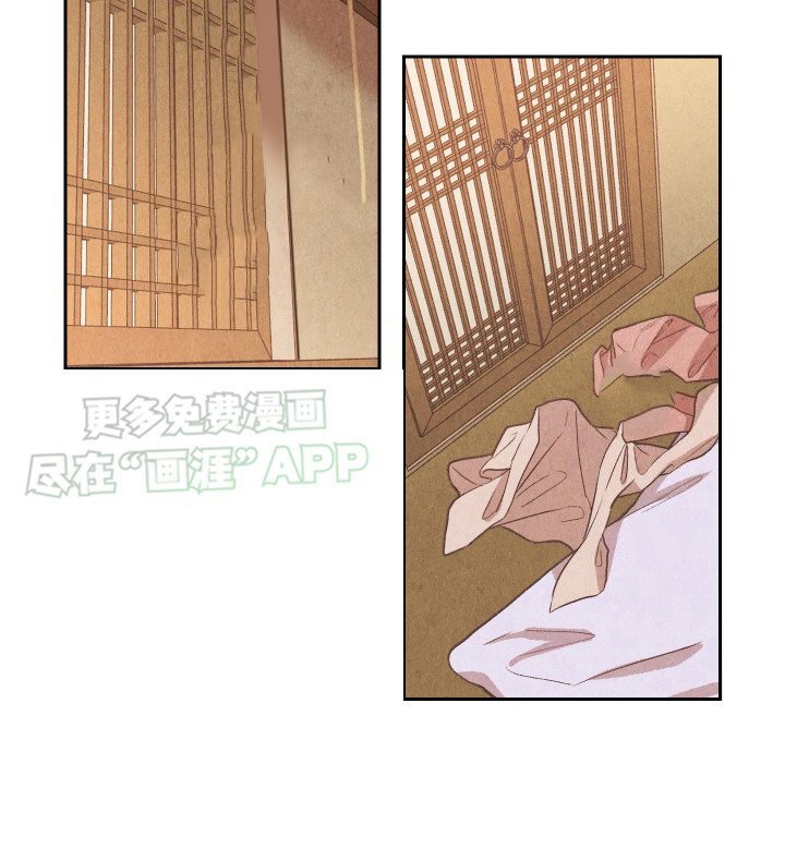 第13章：药丸