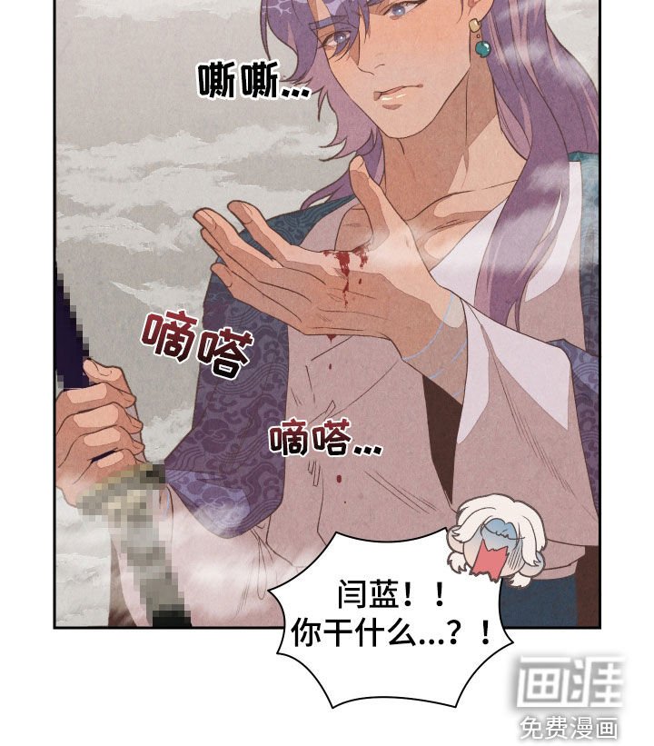 第15章：解释