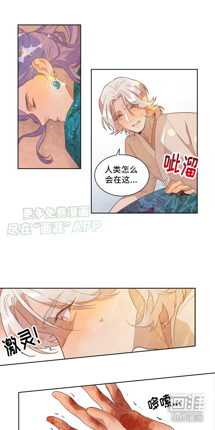 第2章：我的故事
