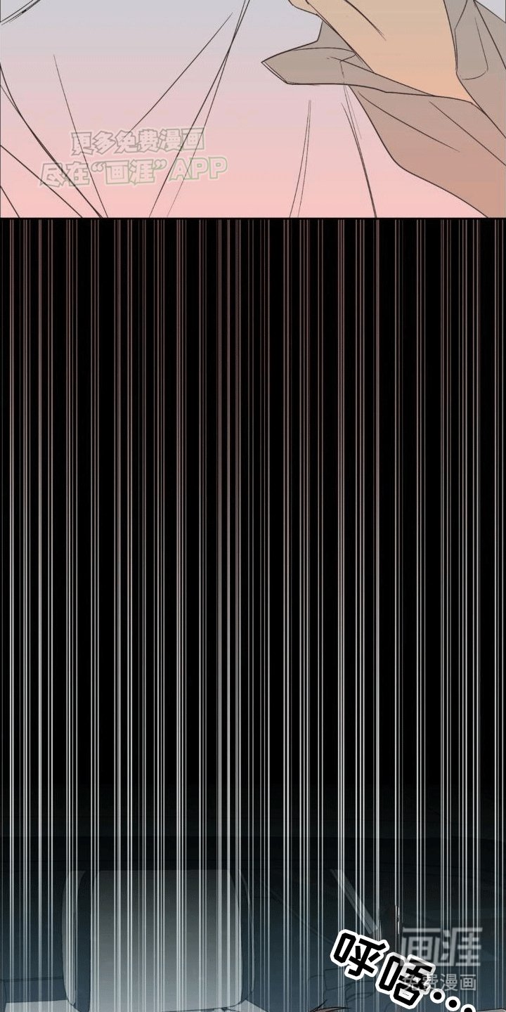 第4章：粉丝
