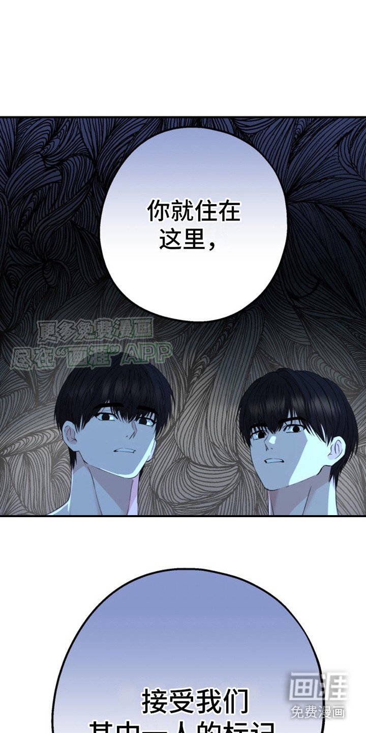 第4章： 动弹不了
