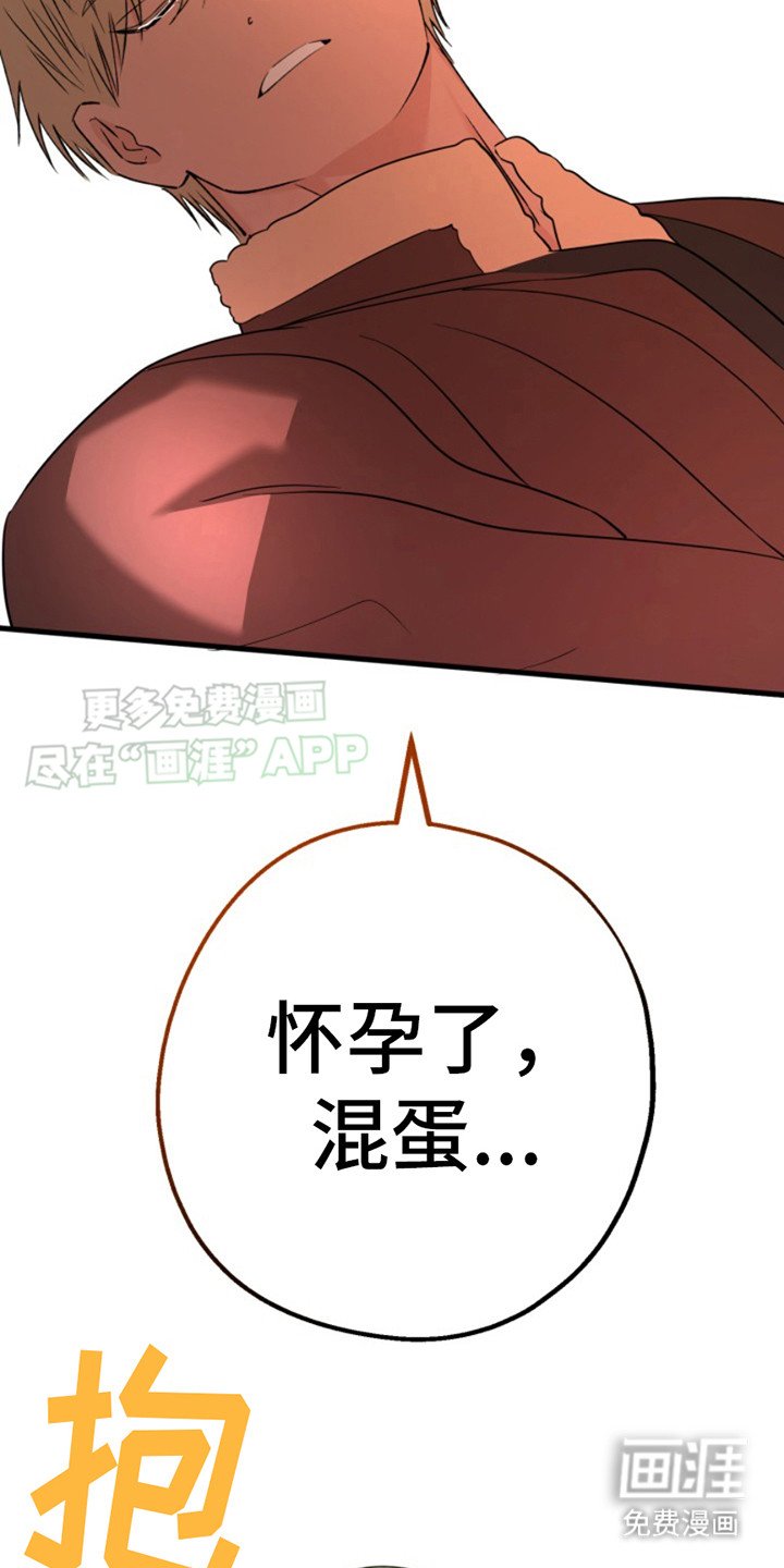 第9章：怀孕了