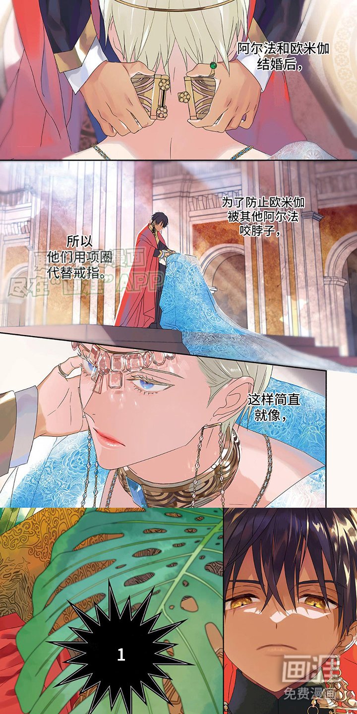 第1章：联姻