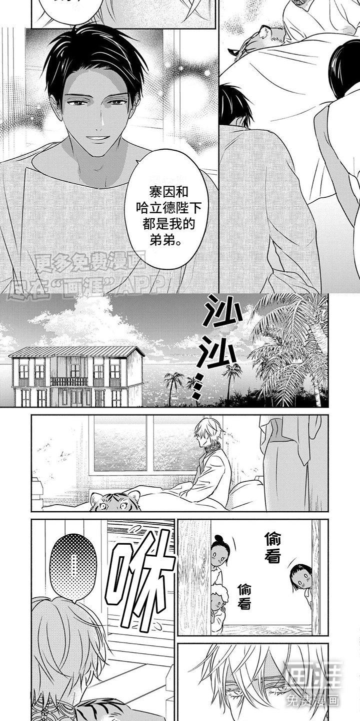 第15章：长子