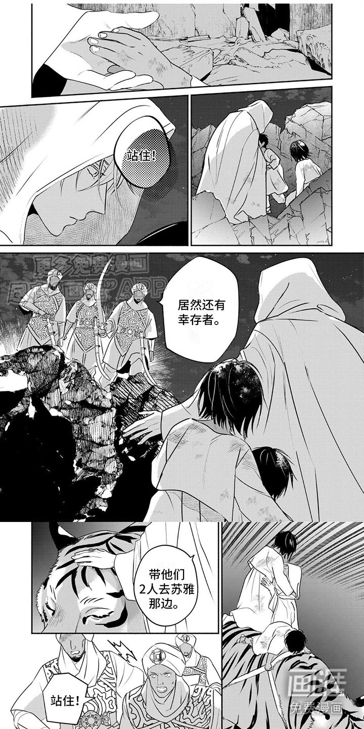 第20章：心跳不止