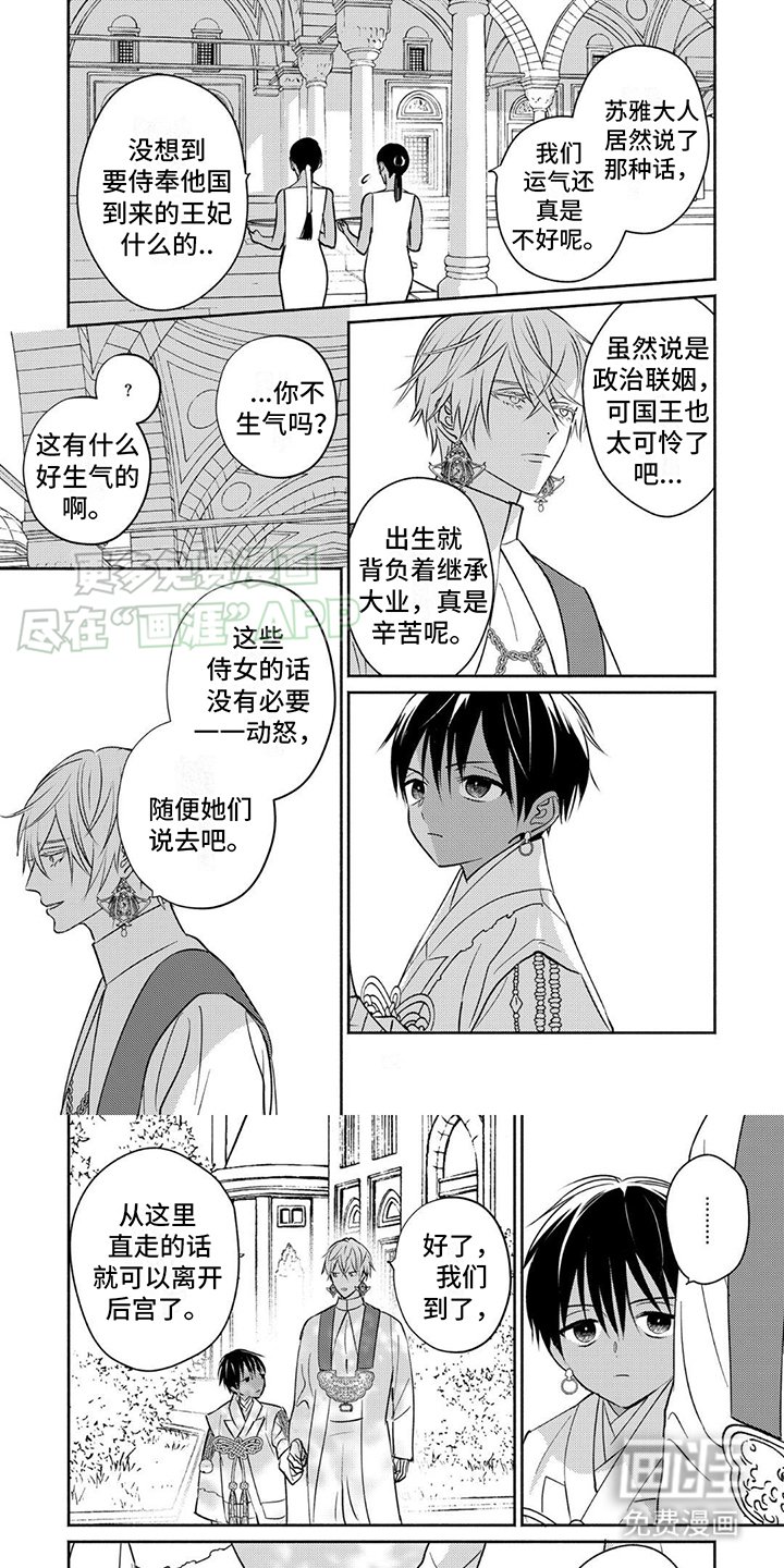 第3章：装饰打扮