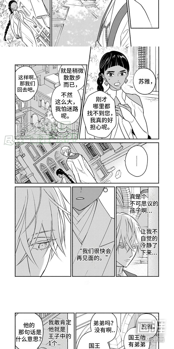 第3章：装饰打扮