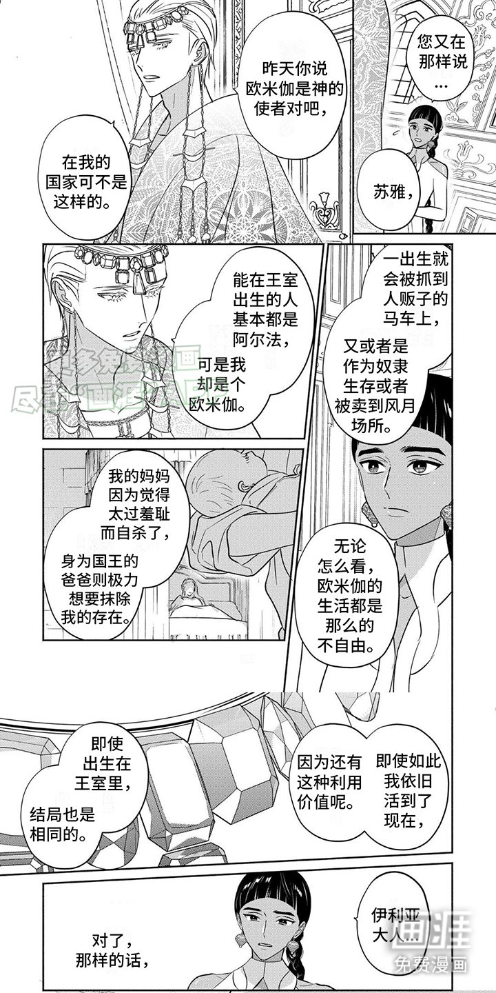 第3章：装饰打扮
