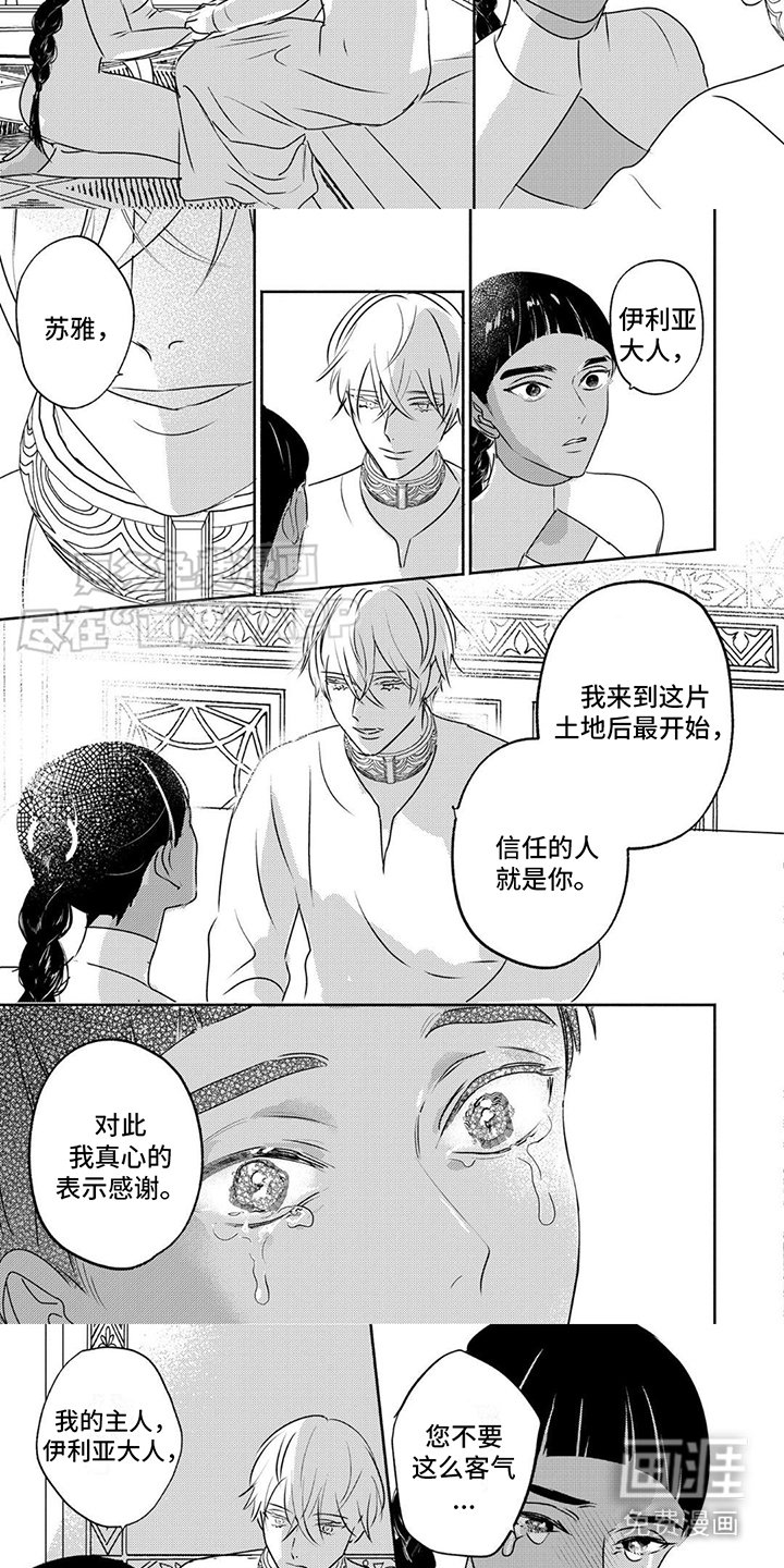 第37章：善后