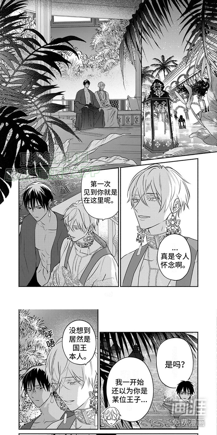 第38章：令人怀念（完）