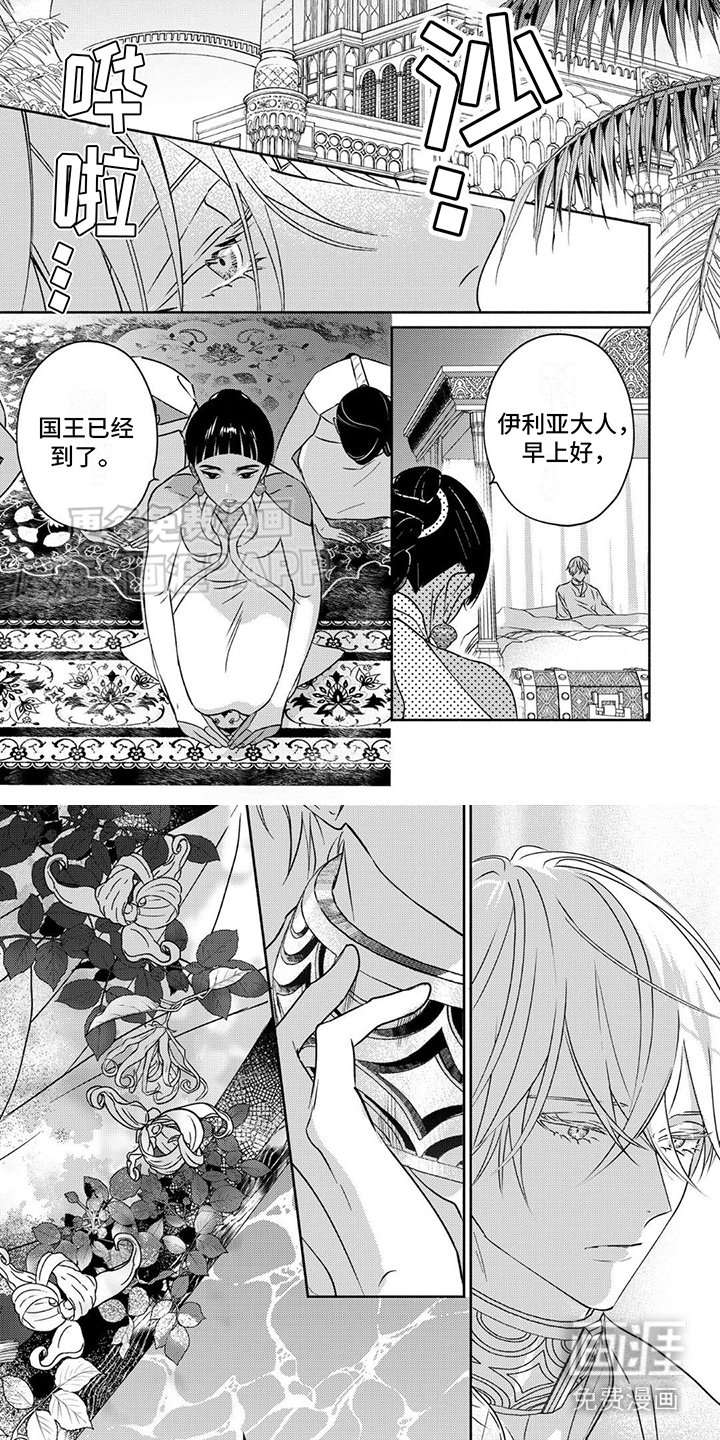 第4章：国王